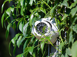 Poe outdoor applications Poe outdoor applications